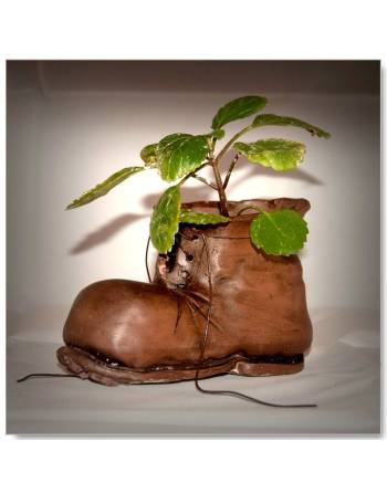 Boot flowerpot