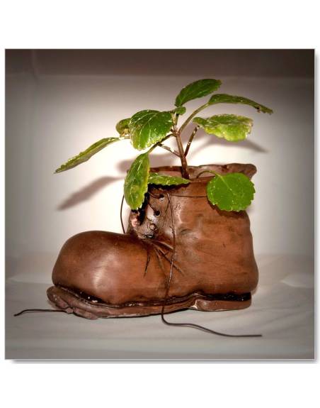 Wall-E old boot flowerpot