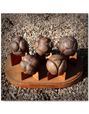 Petrosphere Replicas (Set of 5).